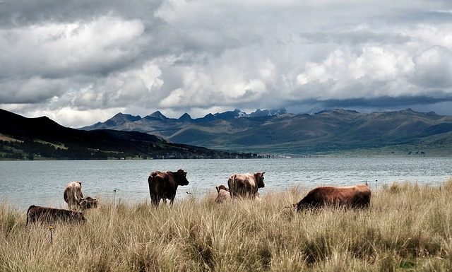 בדרך לא דרך – מסע מפרו לקולומביה