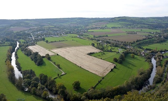 טעמים של כפר צרפתי