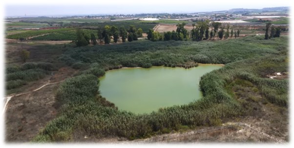 בעיינות גיבתון, כבר ביקרתם? בריכת מים טבעית עם צמחיית סבך עבותה - מגזין ...