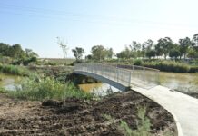 מיכאל חורי, מערך ההסברה קק״ל