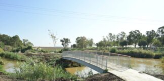 מיכאל חורי, מערך ההסברה קק״ל