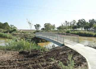 מיכאל חורי, מערך ההסברה קק״ל