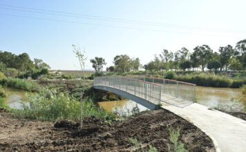 מיכאל חורי, מערך ההסברה קק״ל