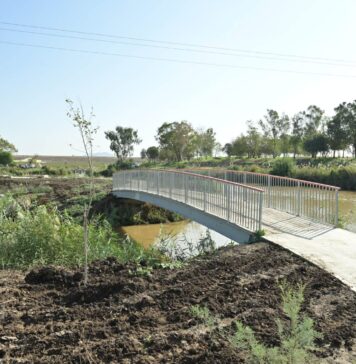 מיכאל חורי, מערך ההסברה קק״ל